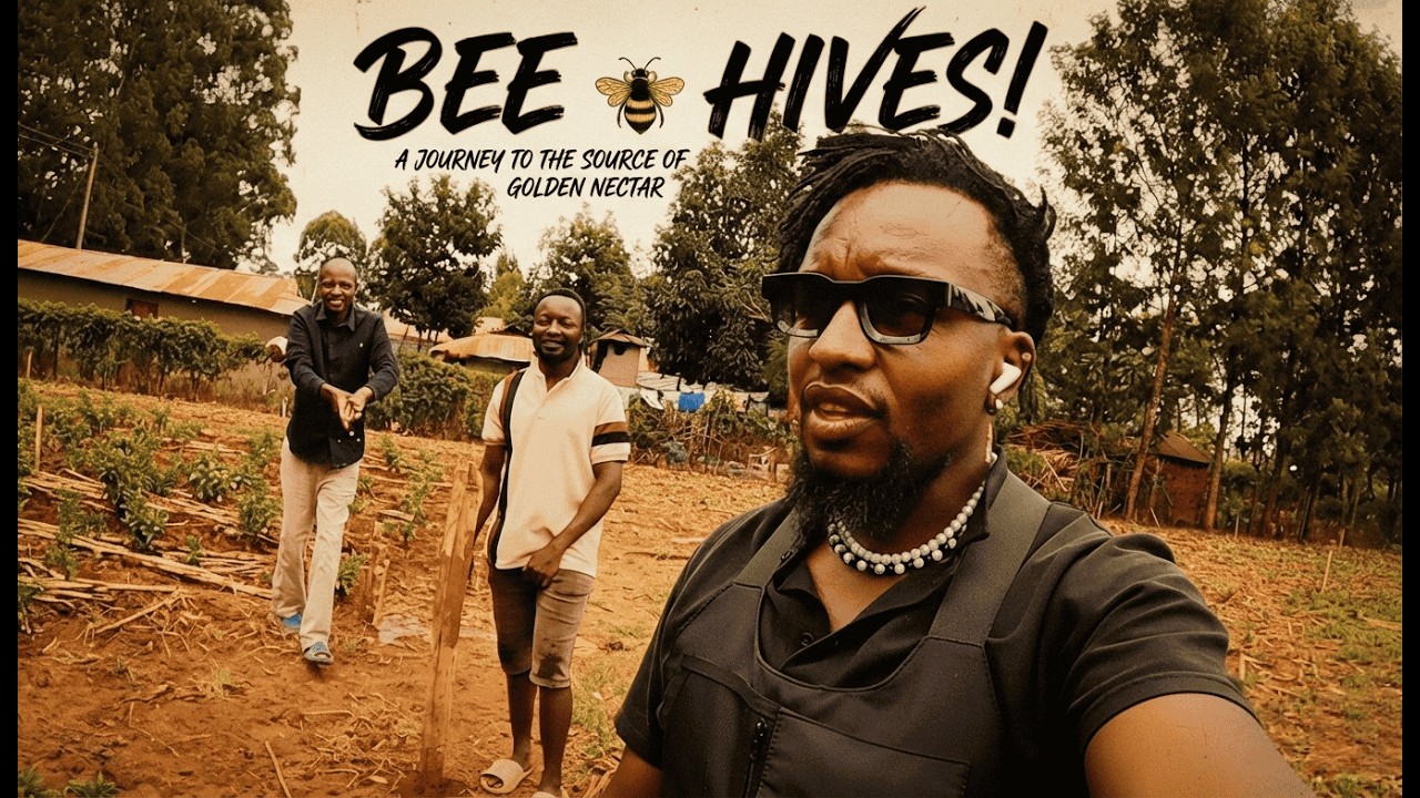 BEE HIVES!🐝 ｜OFF-GRID FARMING IN KENYA 🇰🇪