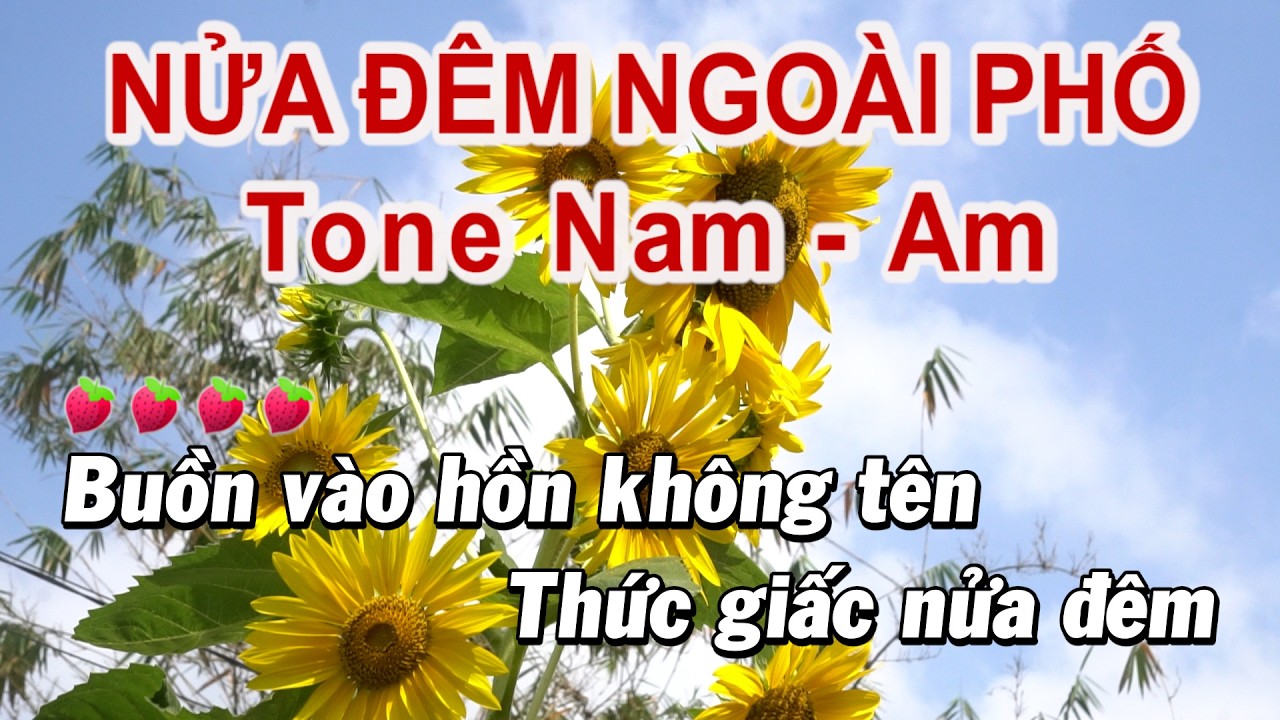 KARAOKE NỬA ĐÊM NGOÀI PHỐ tone Nam Am II Nhạc Sống 7879
