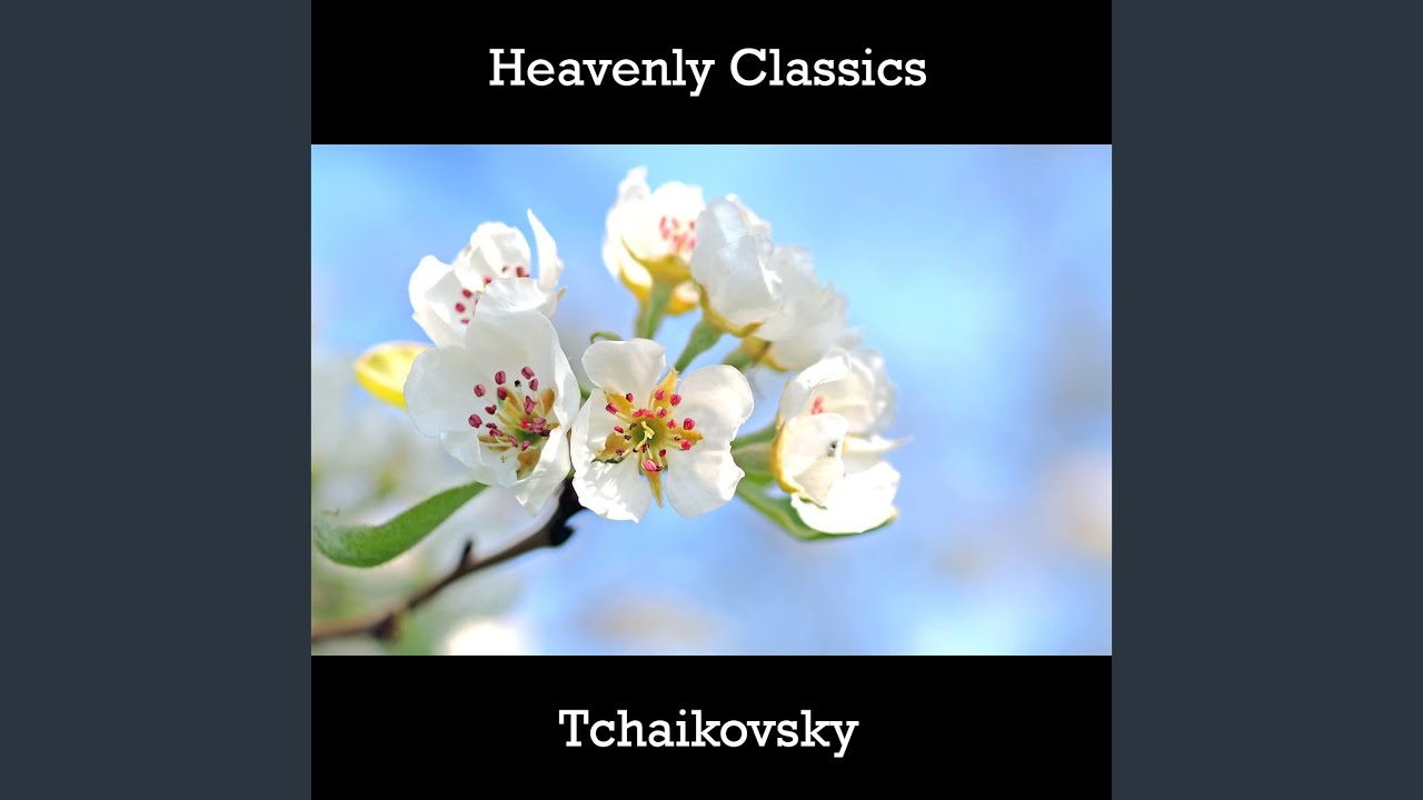 Pyotr Il'yich Tchaikovsky - Children's Album - 24 Easy Pieces, Op.39 - In Church