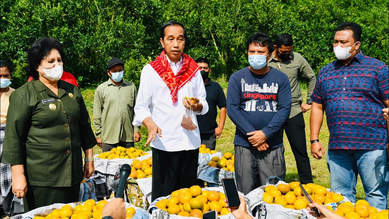 Keterangan Pers Presiden Jokowi Setelah Tinjau Kebun Jeruk, Karo, 4 Februari 2022