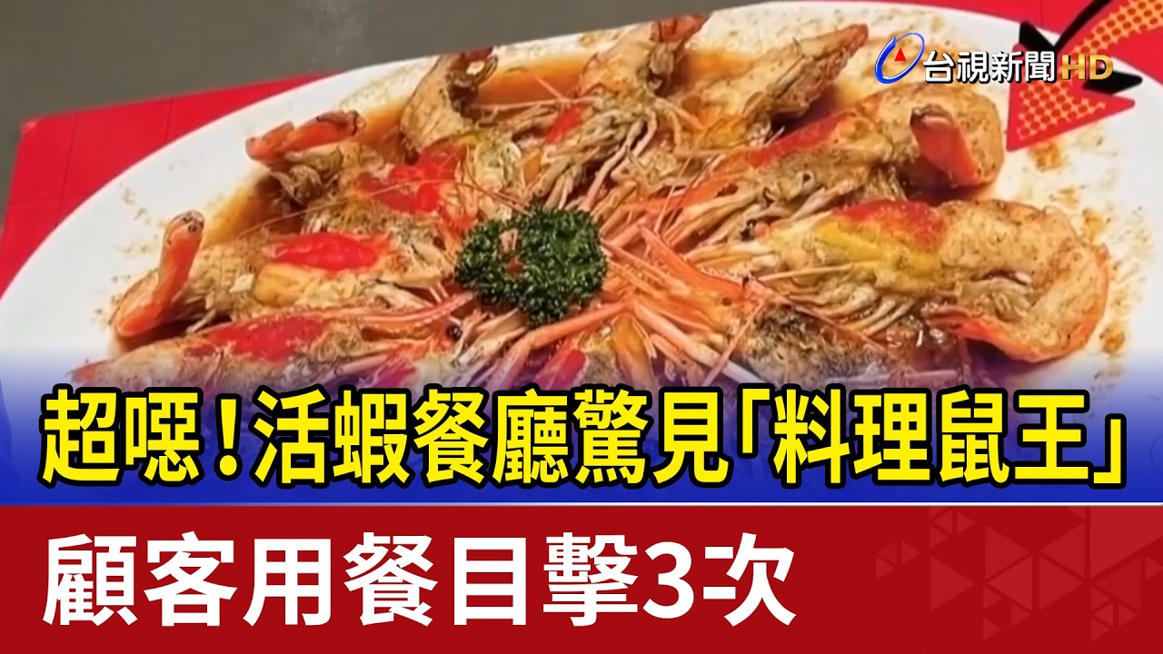 超噁！活蝦餐廳驚見「料理鼠王」 顧客用餐目擊3次