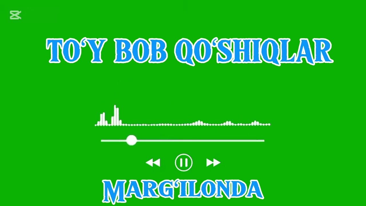 Ulugʻbek Toshmatov -Margʻilonda(shoʻx qoʻshiq)