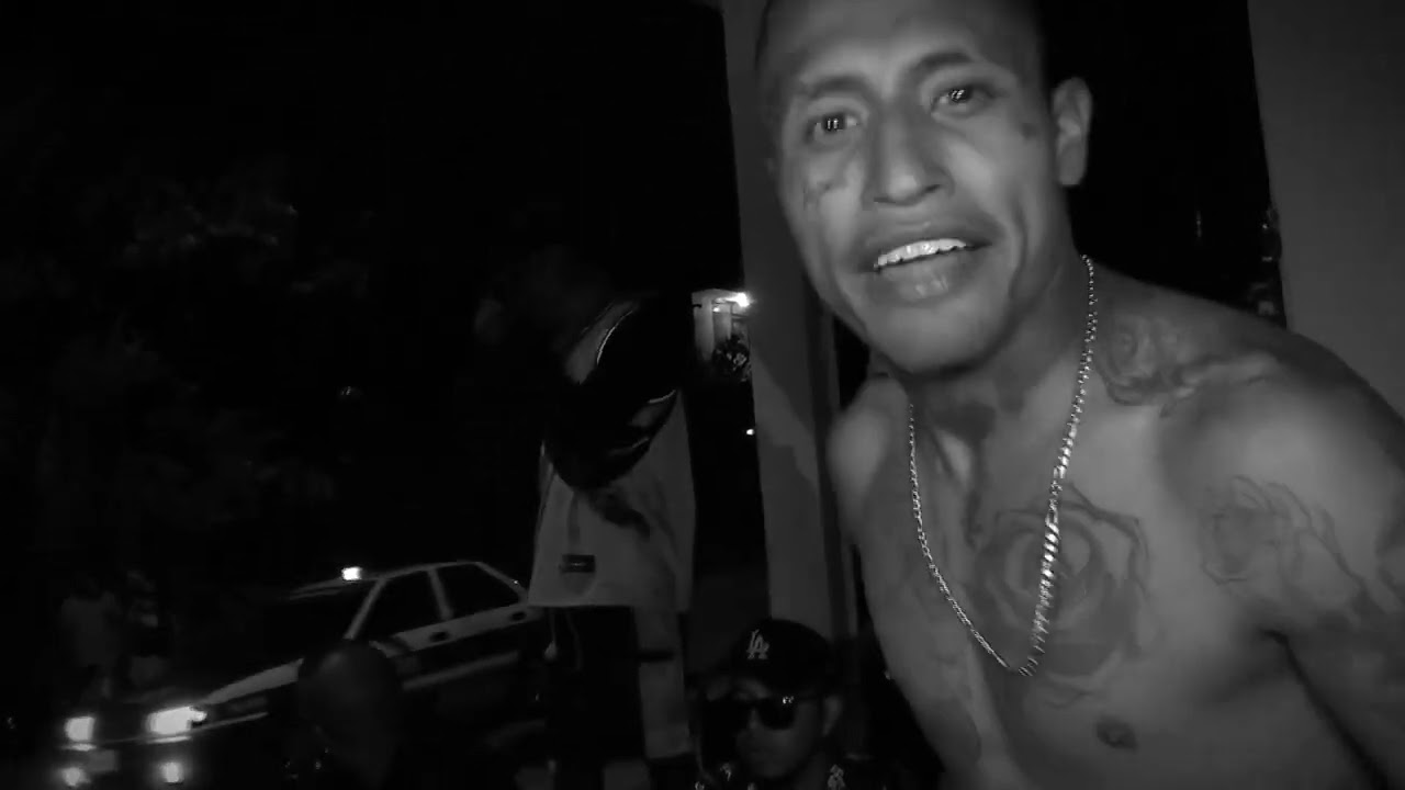 Adees Hernandez // Unidos // Comber THL // Blacky228 // El Rivera Pox  // PantherBeatz //Bad Records
