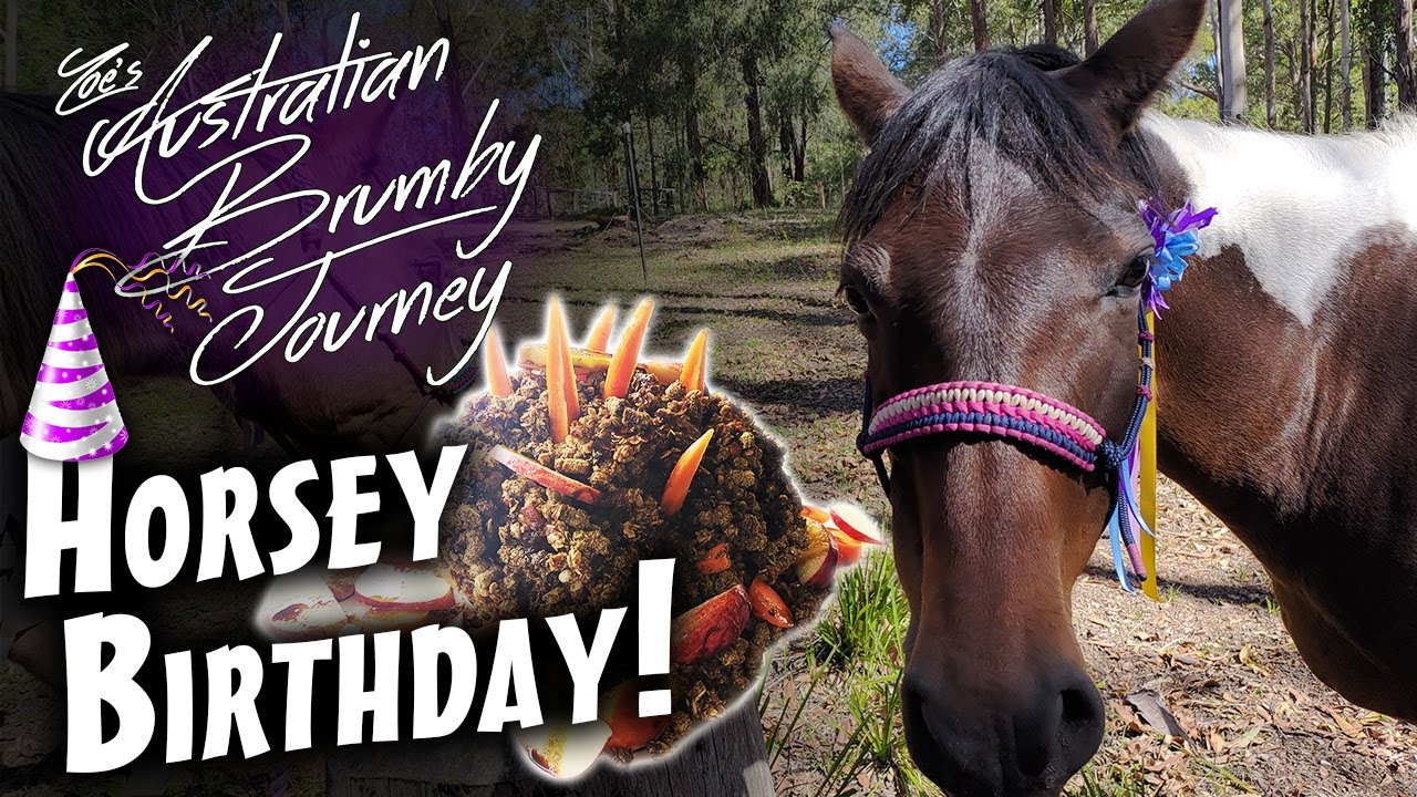 Horse Birthday Party 🐴Australian Horse Training