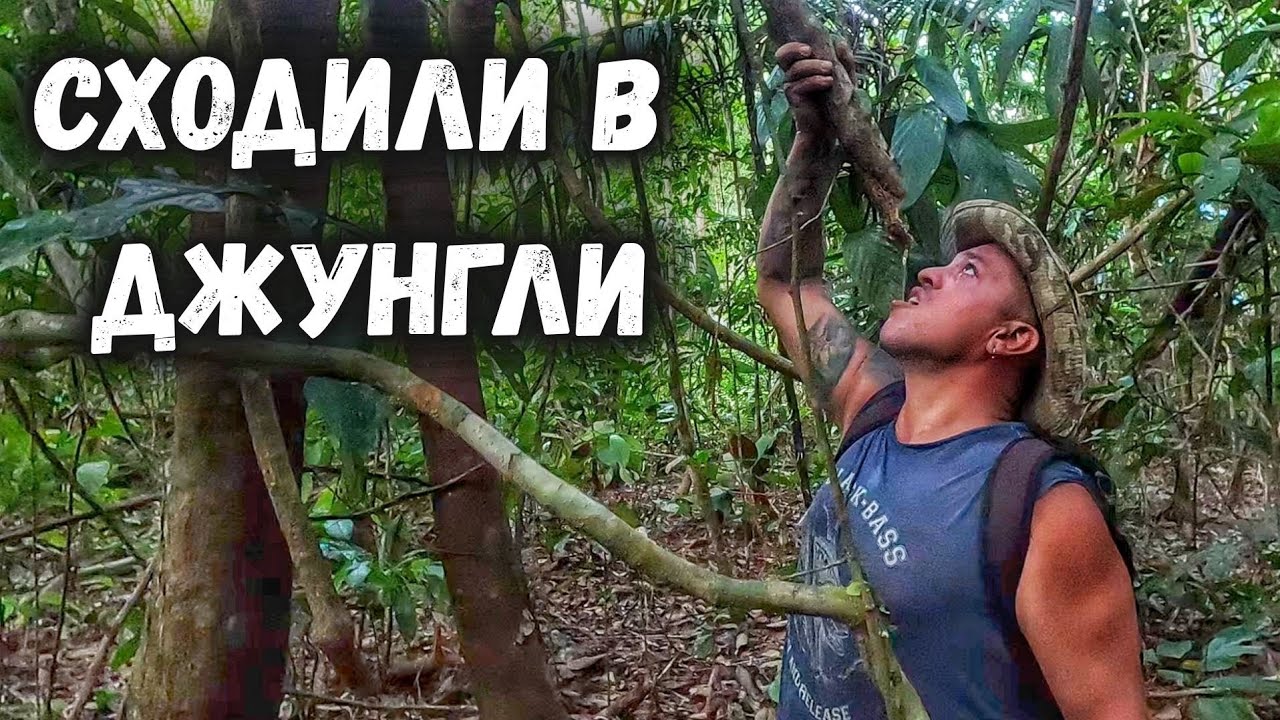 Советы по 