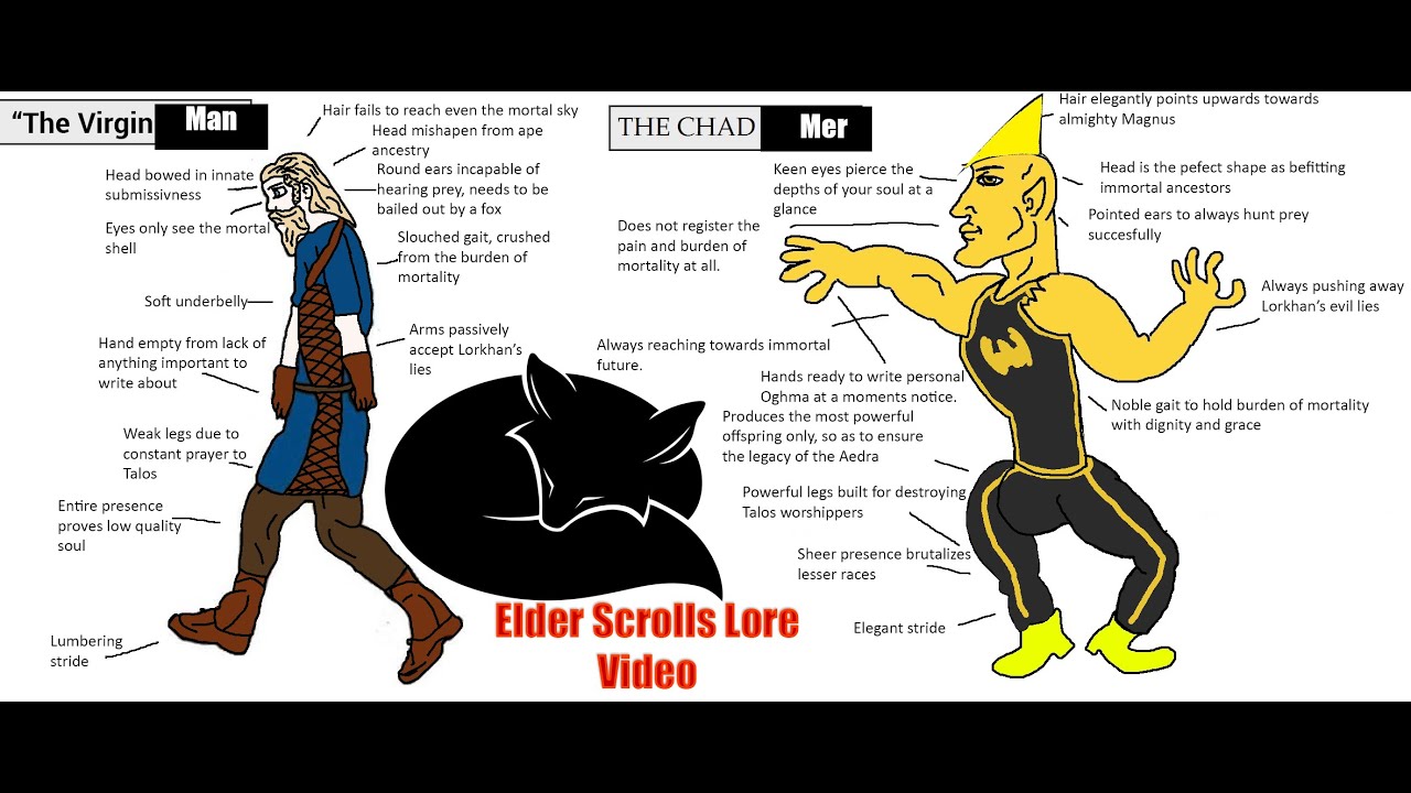 The Man-Mer Schism (Elder Scrolls Lore)