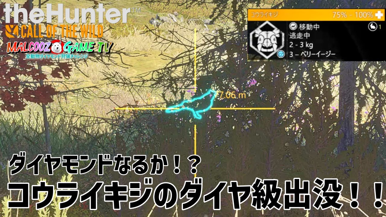 【ザハンターコールオブザワイルド 】3年越しのダイヤコウライキジ狩猟なるか！？【theHunter: Call of the Wild 】