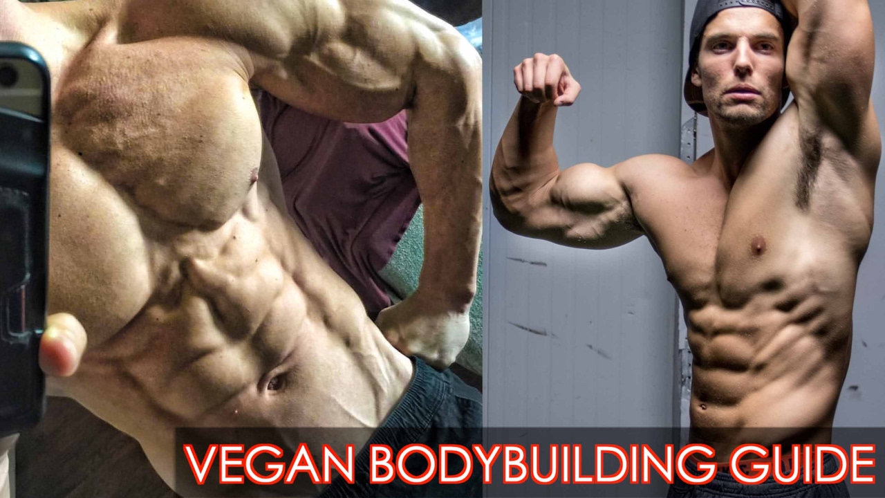 FULL GUIDE TO VEGAN BODYBUILDING