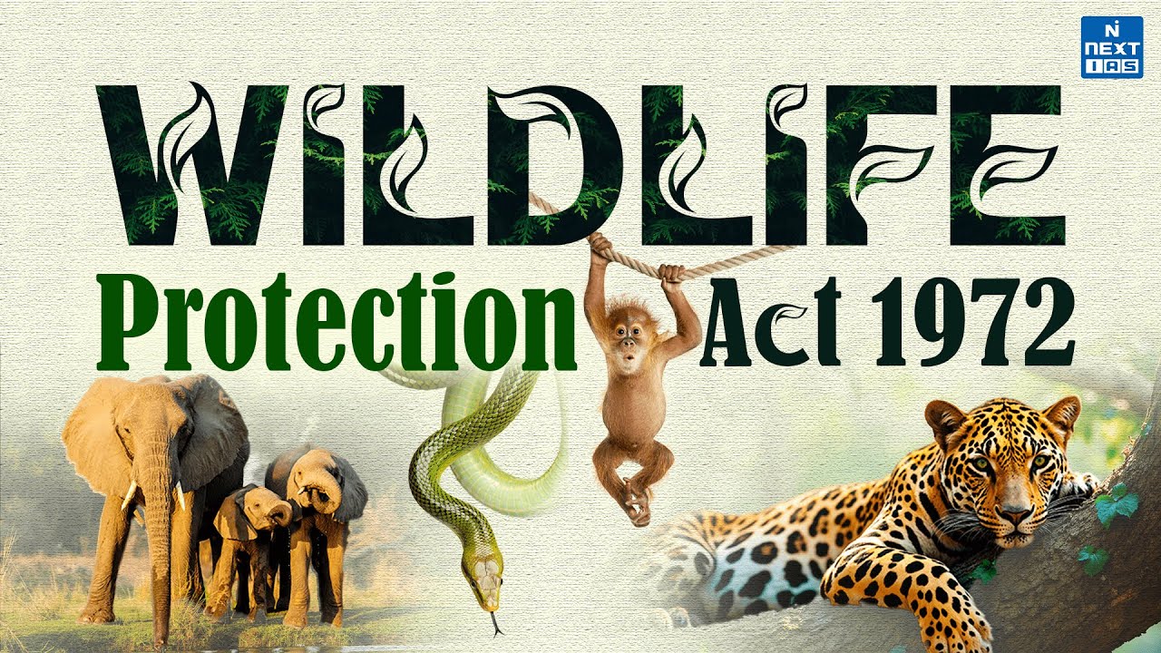 Wildlife Protection Act 1972 in ONE SHOT! 🐯#wildlife #wpa