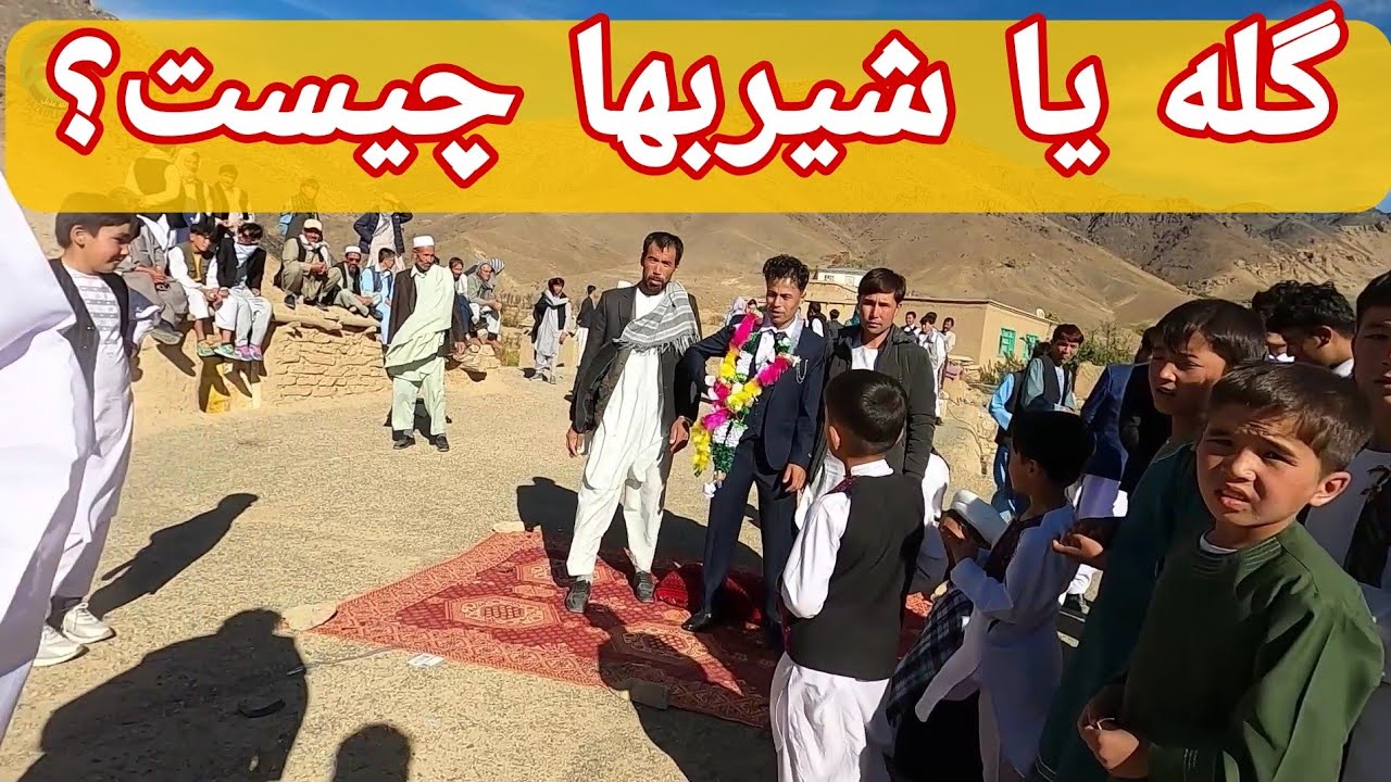 گله یا شیر بها  چیست ؟