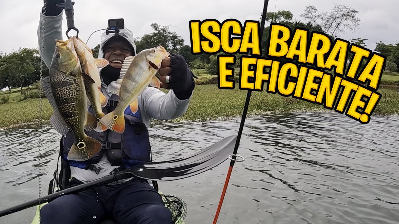 TESTEI AS ISCAS NACIONAIS MORO DECONTO E ALBATROZ DEU BOM! MUITO PEIXE NO TEMPO NUBLADO 🎣🔥