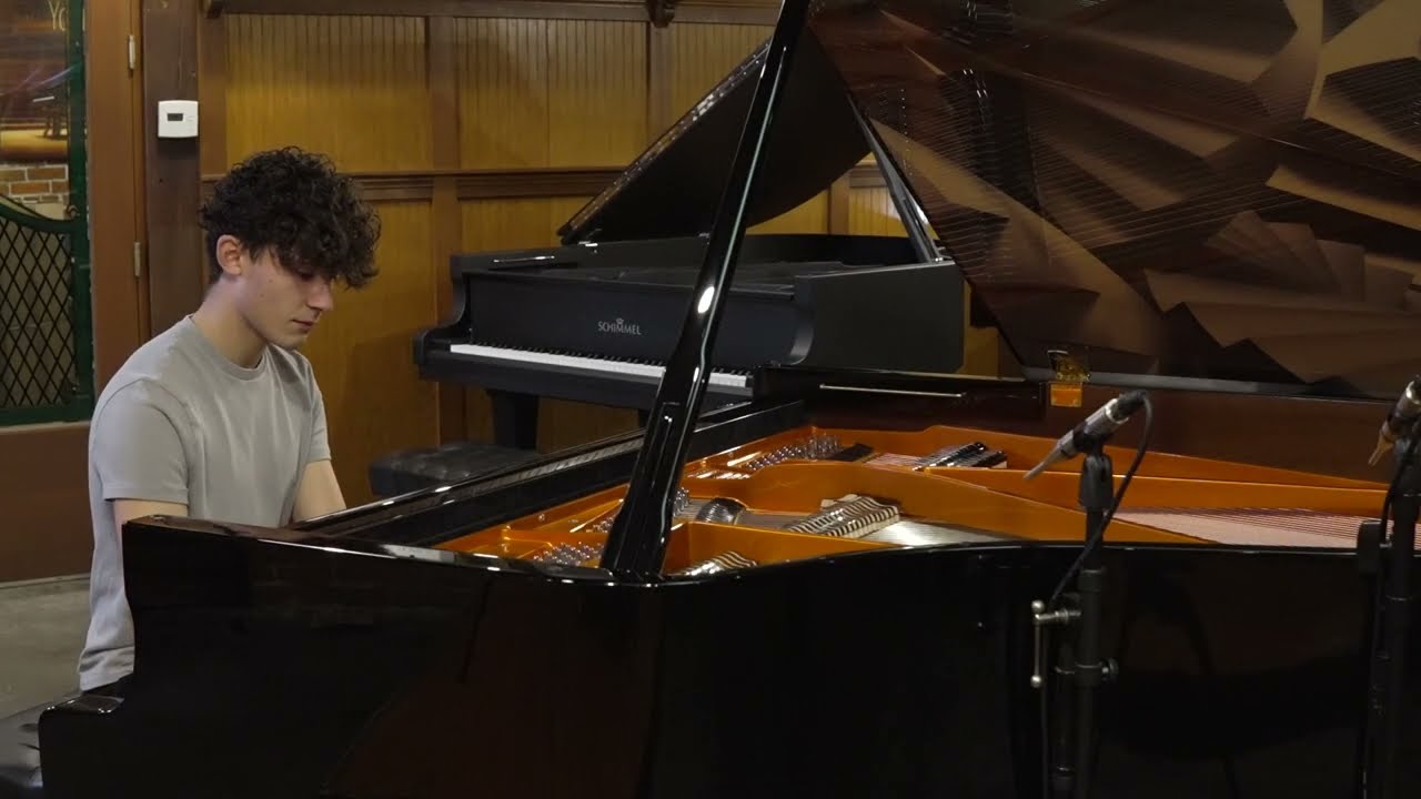 Wilhelm Schimmel W180 Custom Art Case Grand Piano | classic Pianos Portland