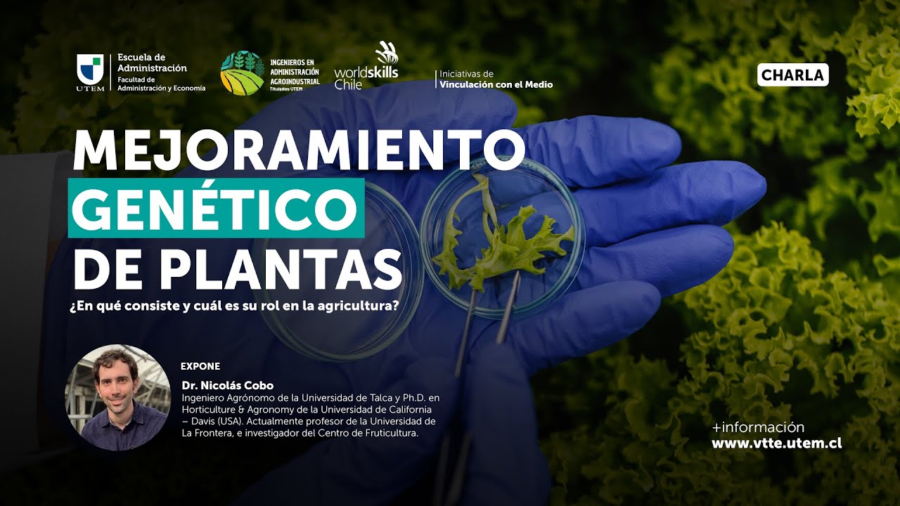 Mejoramiento genético de plantas ¿En qué consiste y cuál es su rol en la agricultura?