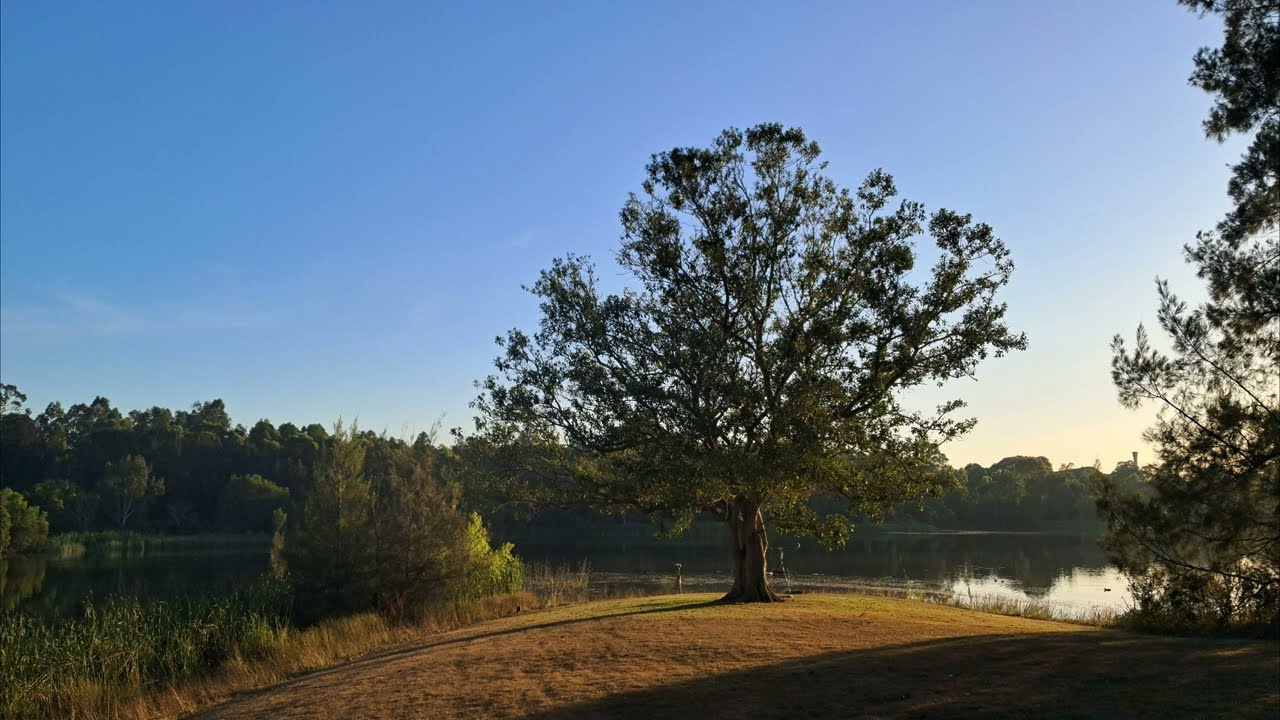 Field Recording (20251206) - Walka Water Works - Dawn Chorus