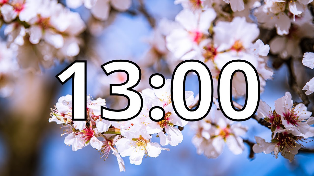 13 Minutes Timer with Music | Cherry Blossom Timer