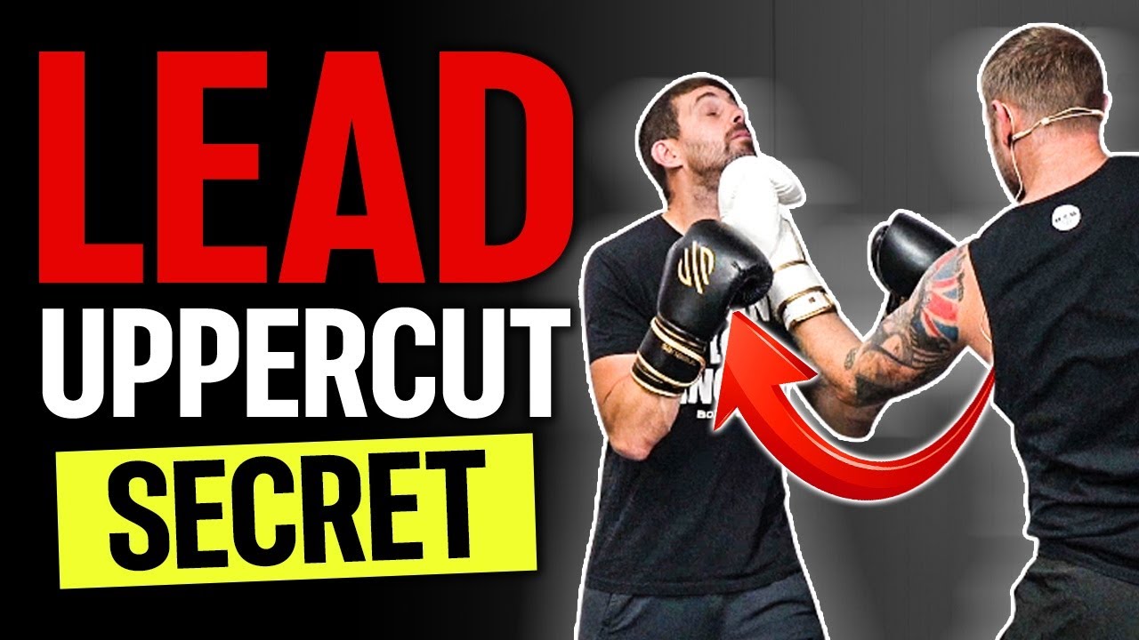 How to Throw Lead Uppercut in Boxing