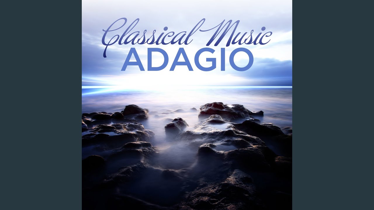 Brandenburg Concerto No. 6 in B-Flat Major, BWV 1051: II. Adagio ma non tanto