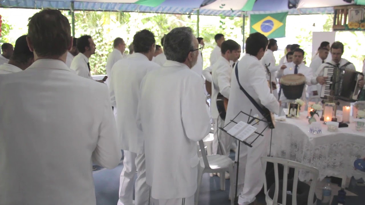 Padrinho Alfredo - Em Pé Firme na Floresta