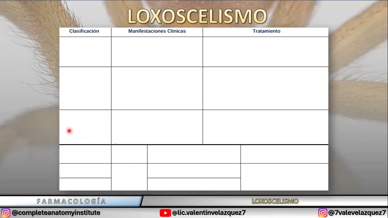 Loxoscelismo