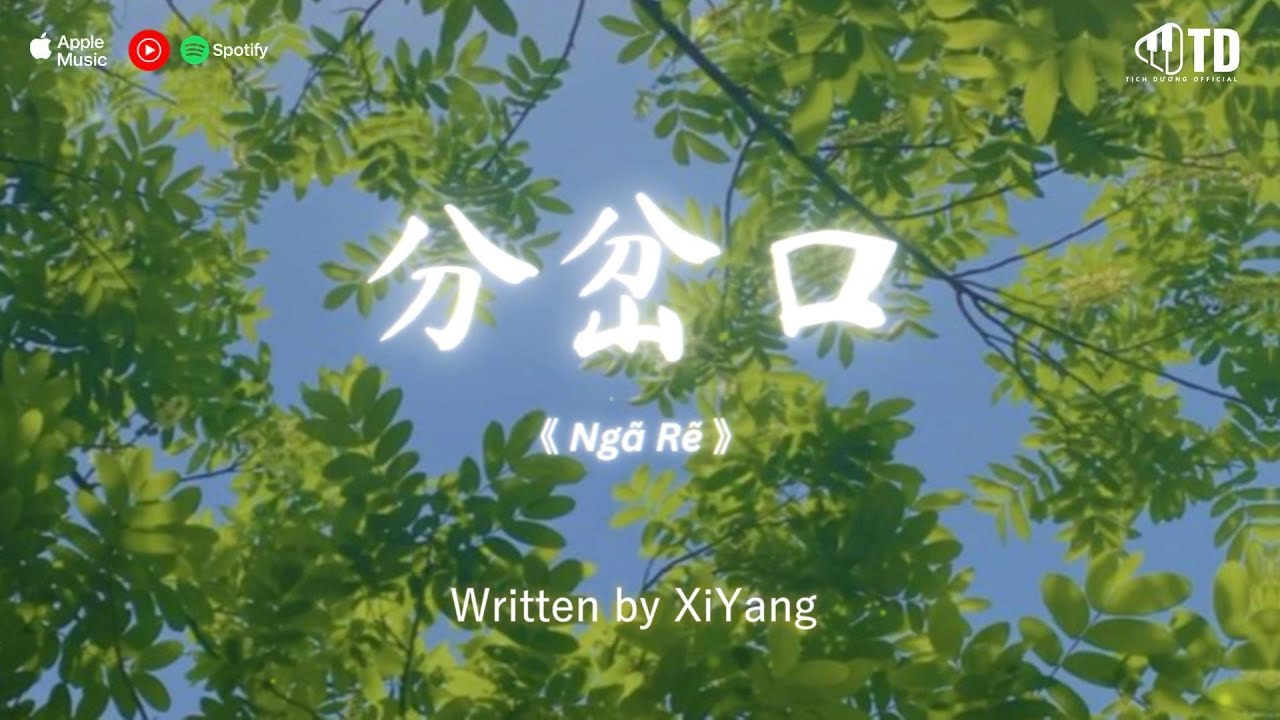 🎵 Playlist Nhạc Trung Hot TikTok | Những Bản Nhạc Mới Nhất Douyin Trung Quốc 2026