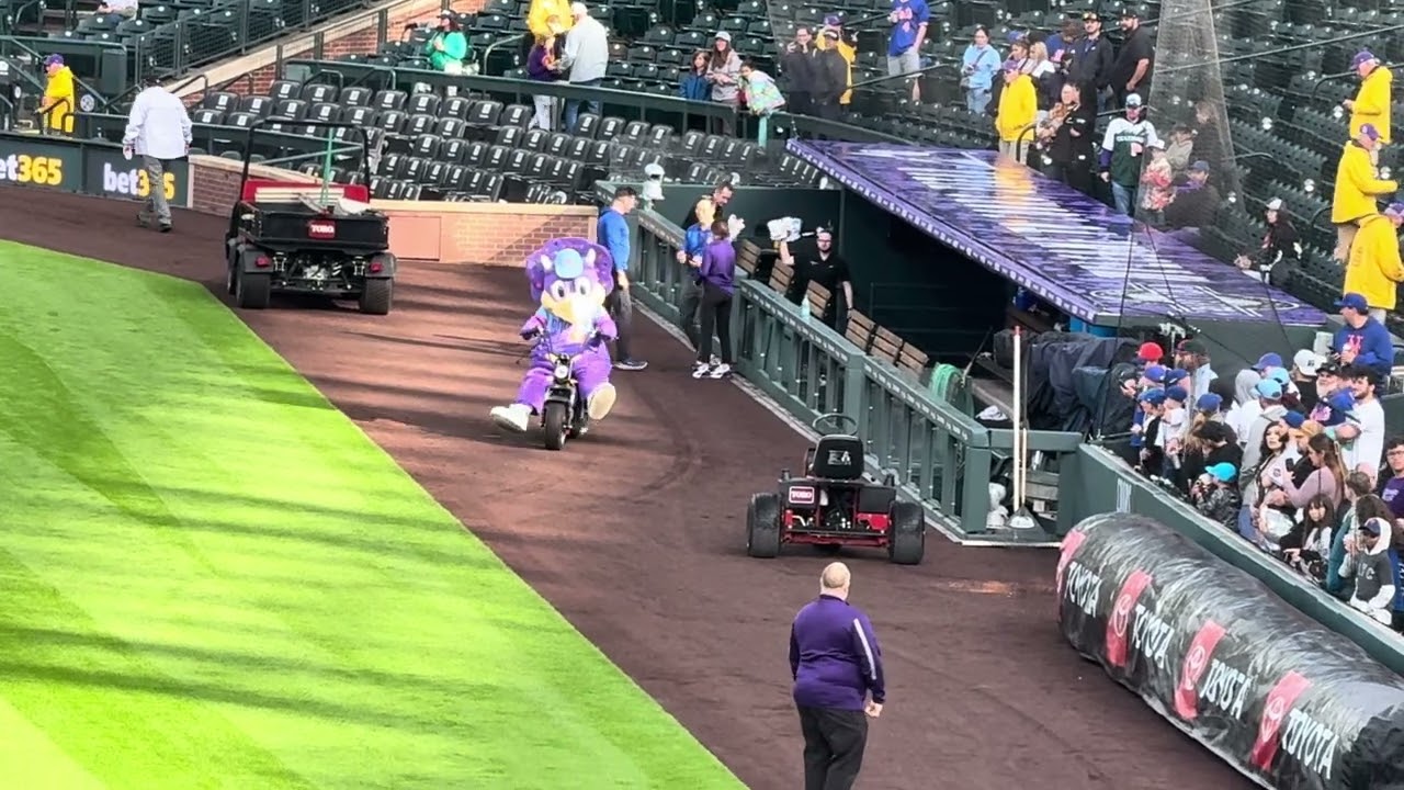 COLORADO ROCKIES MASCOT #fromirelandandbeyond #coloradorockies #coorsfield 