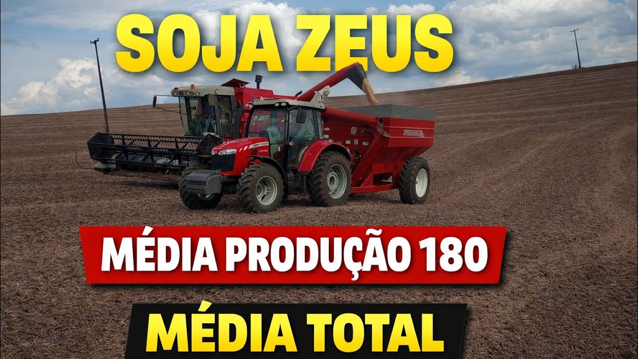 Na finaleira a colheita do soja Zeus média produção de soja 