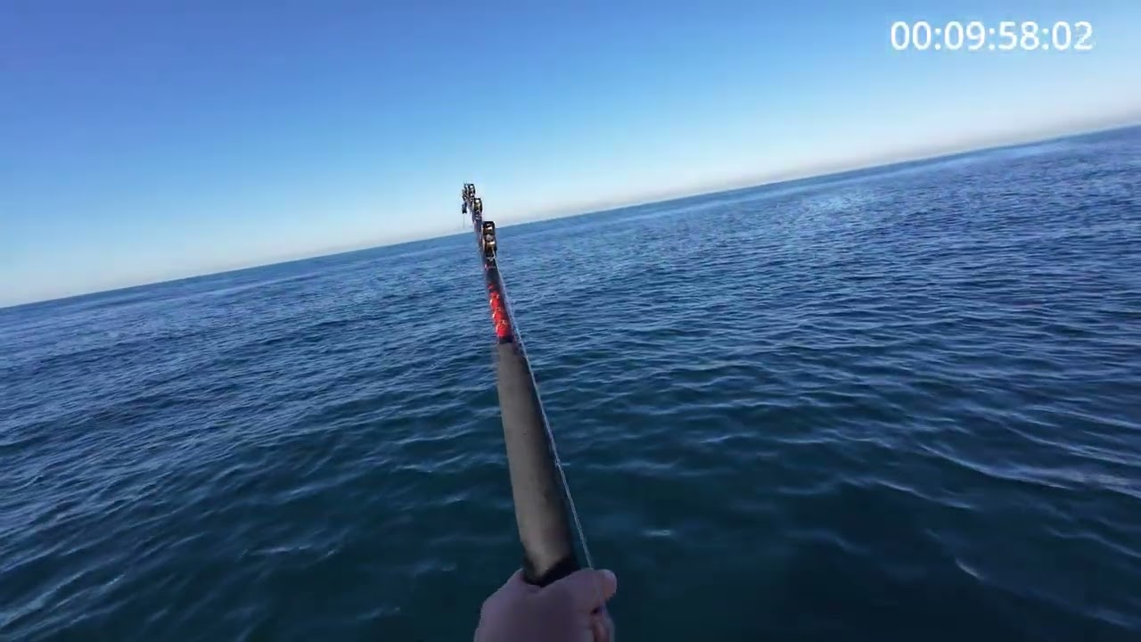 OBX BLUEFIN TUNA FRENZY!!! Insane fishing