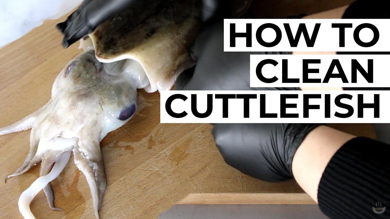 How to clean cuttlefish