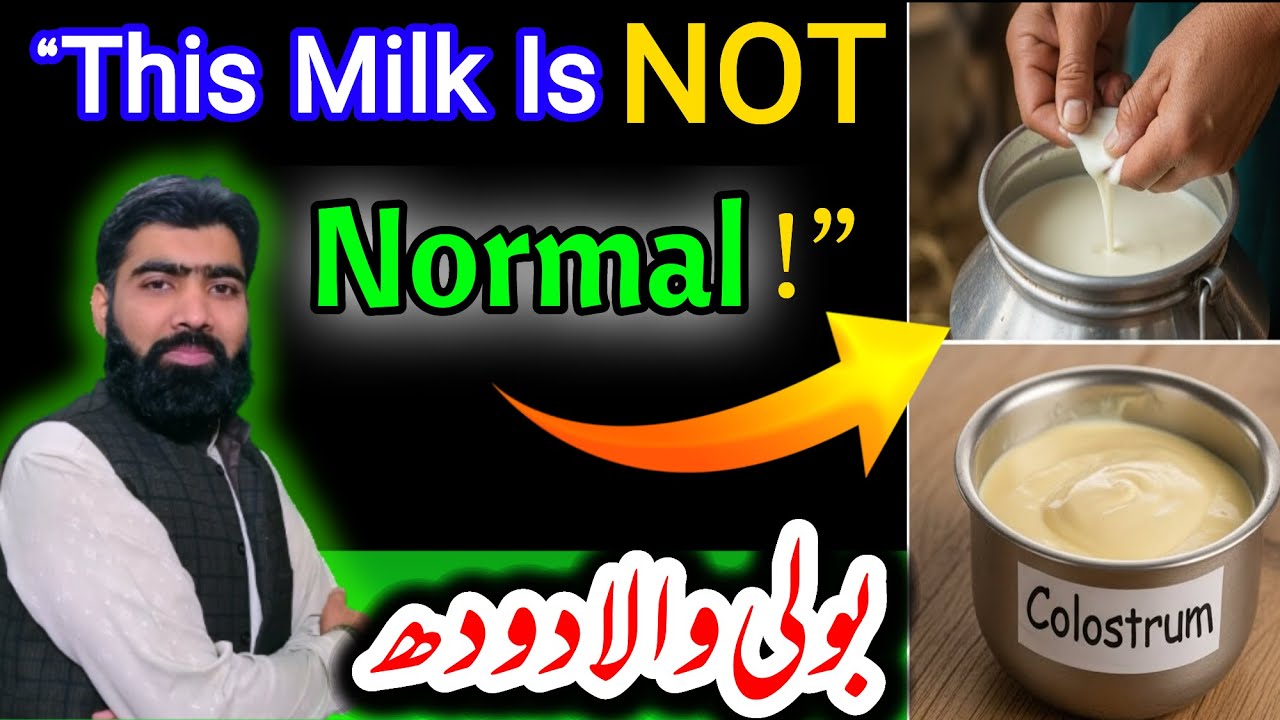 Colostrum (First Milk) vs normal milk explained | Superfood for Strength | balli malai/boli ke fayde