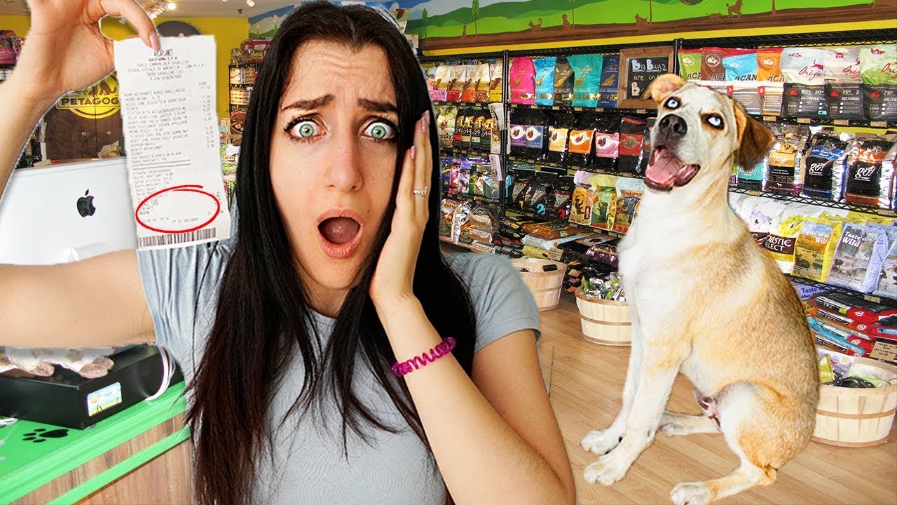 COMPRO AL MIO CANE TUTTO QUELLO CHE TOCCA!!HO SPESO TROPPO!!! CHALLENGE AL NEGOZIO DI ANIMALI!