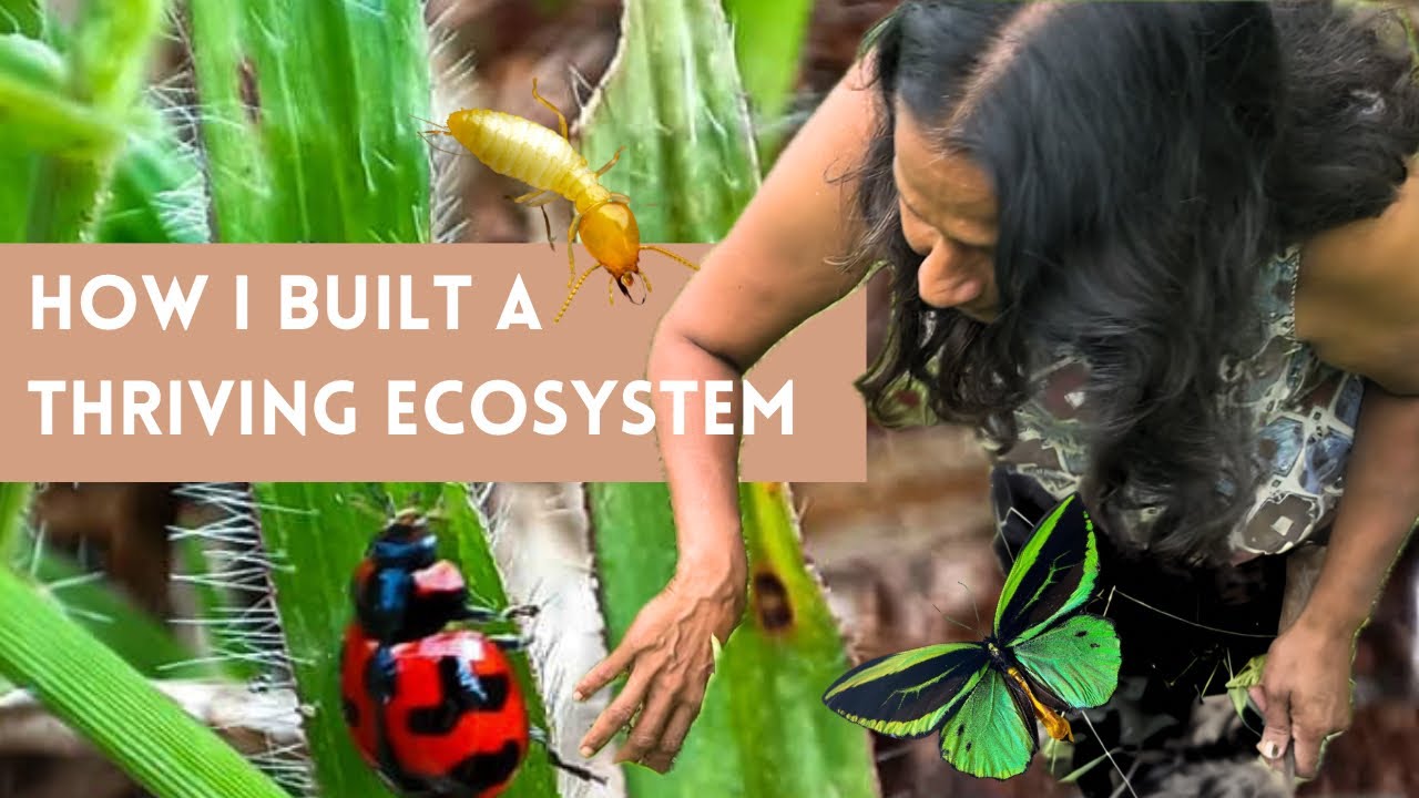 Natural Farming - Everything you need to know about building a thriving ecosystem