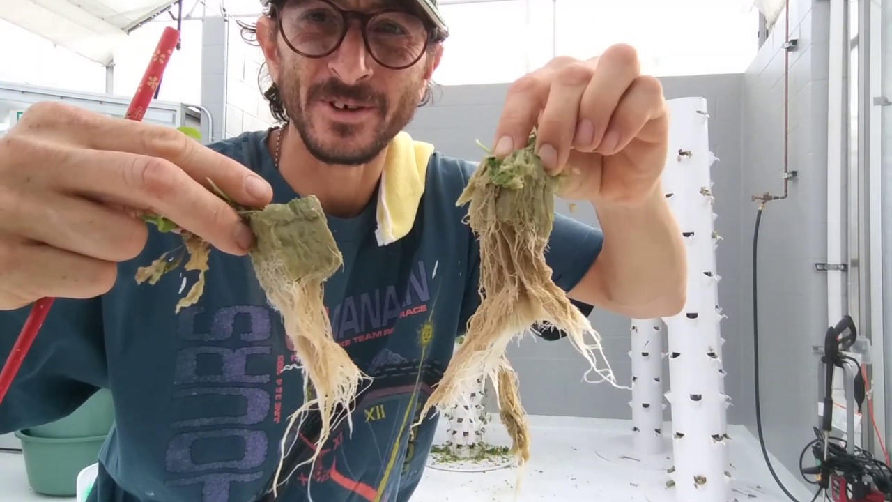 Aeroponic Tower Garden Altius Farms Denver