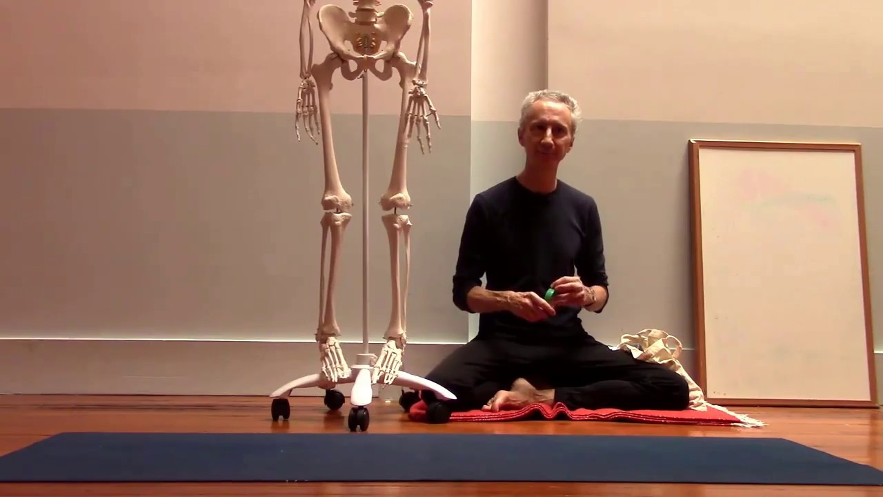 How the hip ligaments limit extension