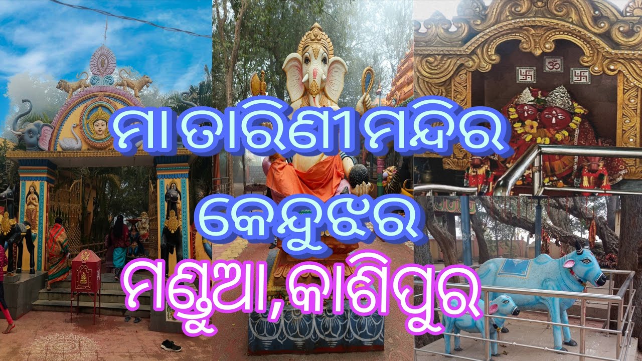 Maa Tarini Temple Keonjhar Mandua Kashipur l  Nearby Keonjhar Market l Tarini Temple Keonjhar 