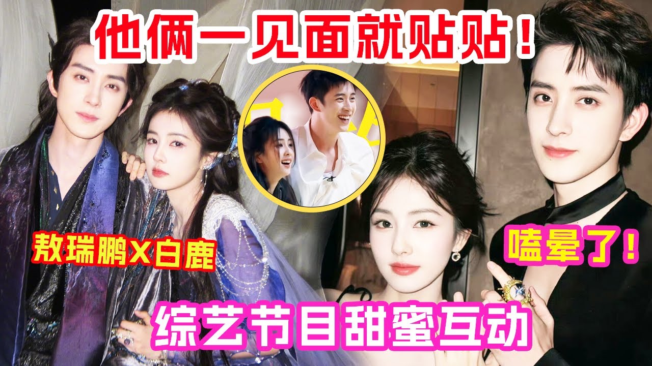 没人告诉我白鹿&敖瑞鹏这么“嗑”啊~ 敏感的人遇到了大方表达爱意的人 是谁一场直播喊了五次宝贝啊～ |爆笑综艺社