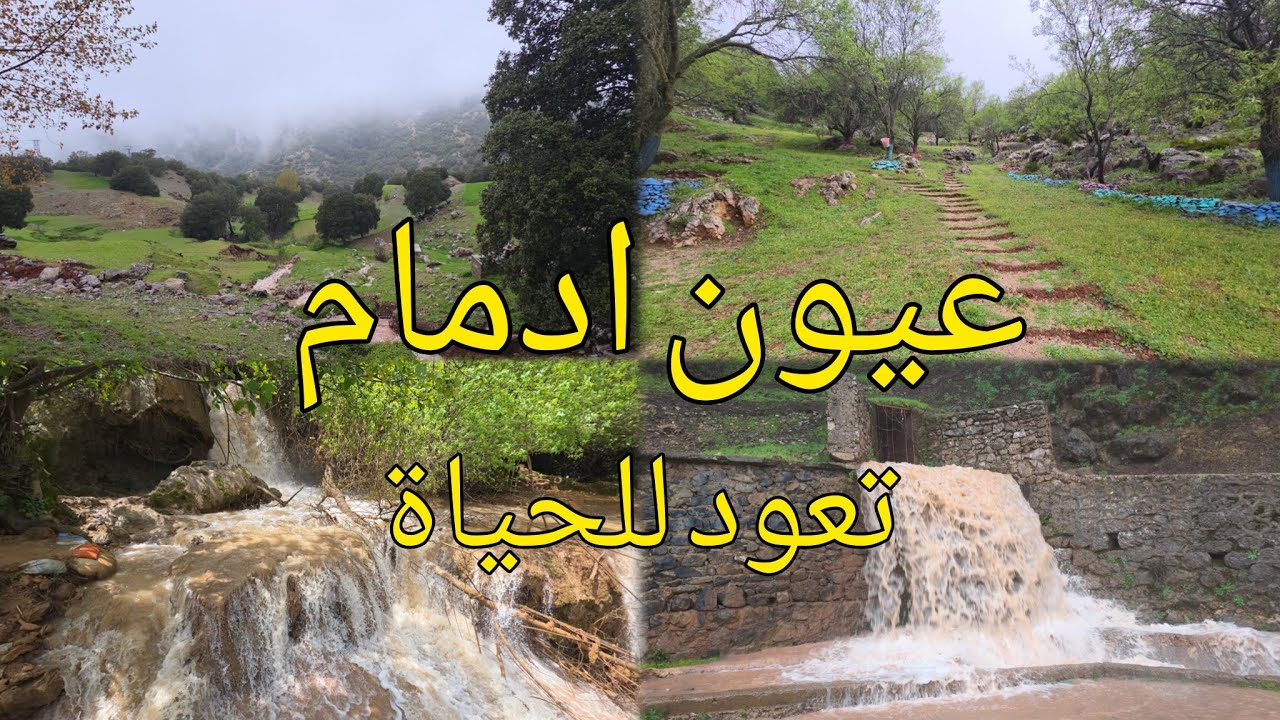 أمطار الخير تعيد إحياء العيون المائية في تازة nature taza