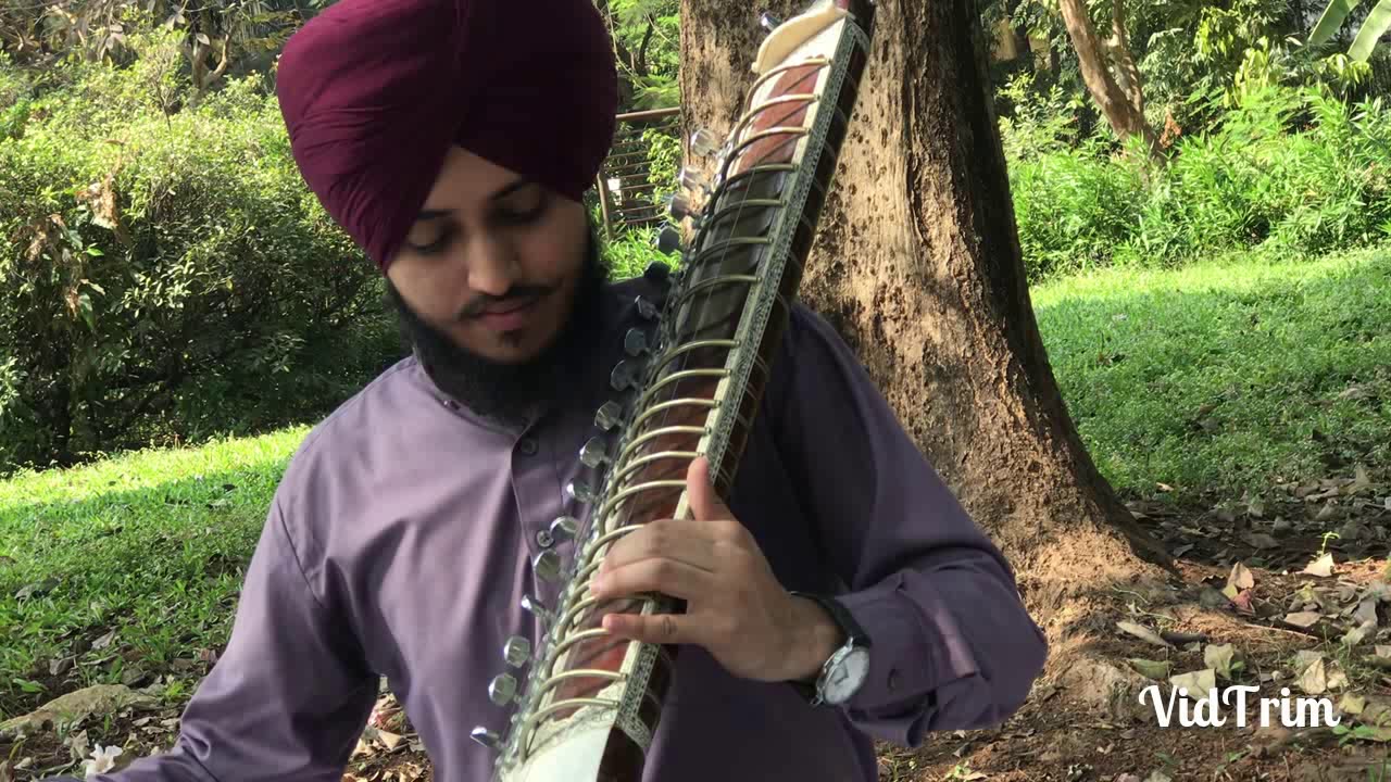Raag Sorath Mishrat। Taus (Mayuri Veena)। Amritpal Singh