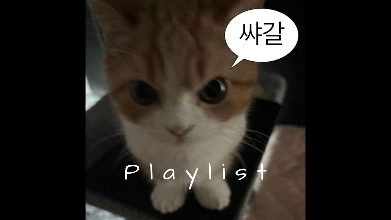 𝐏𝐥𝐚𝐲𝐥𝐢𝐬𝐭 느좋 노래들로 복잡한 머릿속 chill하게 끝내버리자 ✨ | chill r&b · trendy mood