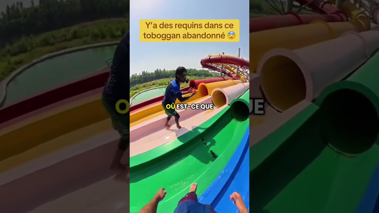 Y’a des requins dans le toboggan 😨