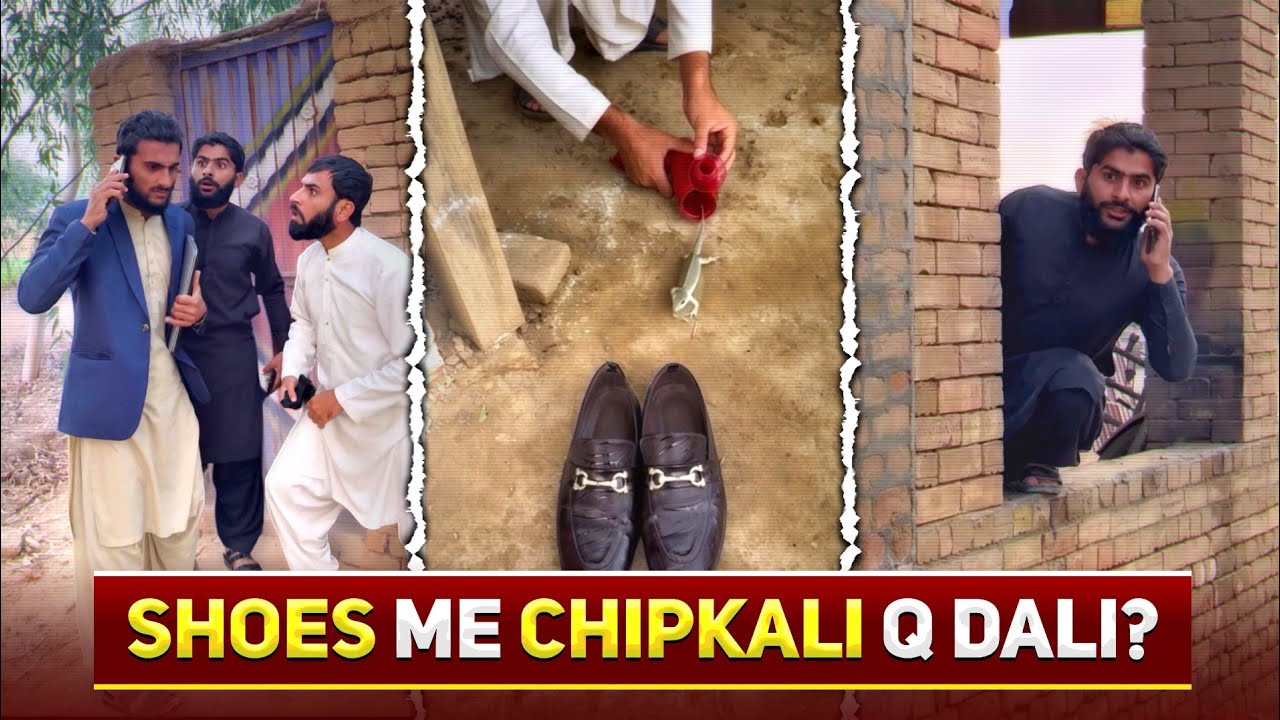👞 Shoes Me Chipkali Q Dali?