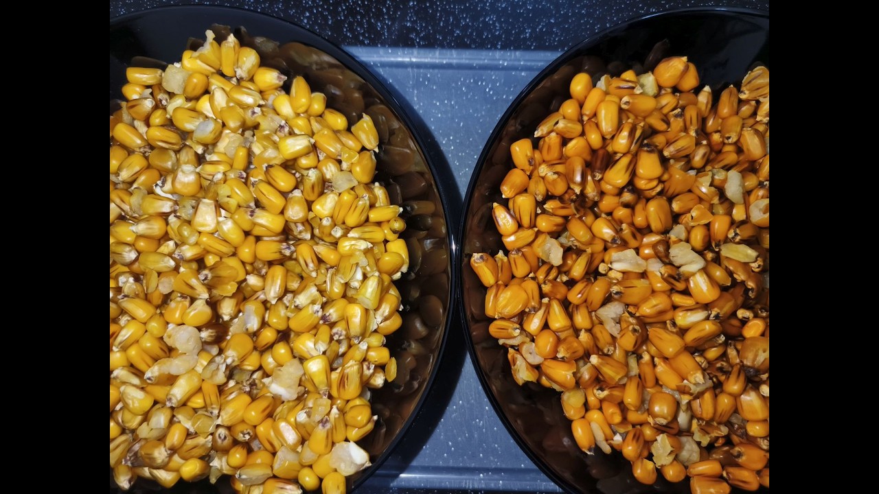 Złota kukurydza ,jak uzyskać ten efekt?
