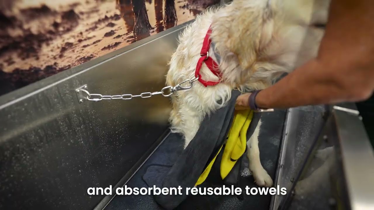 The Dog Wash Self-Service Salon 