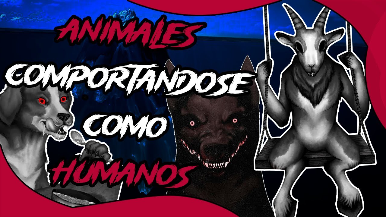 ICEBERG de ANIMALES COMPORTÁNDOSE como HUMANOS | Marckai