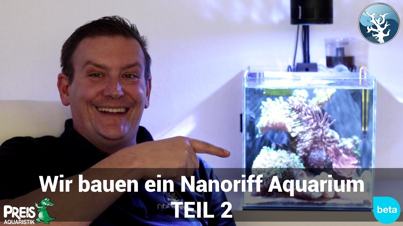 WIR BAUEN EIN NANORIFF AQUARIUM TEIL 2 // PROJEKT MEERWASSERAQUARIUM EINRICHTEN