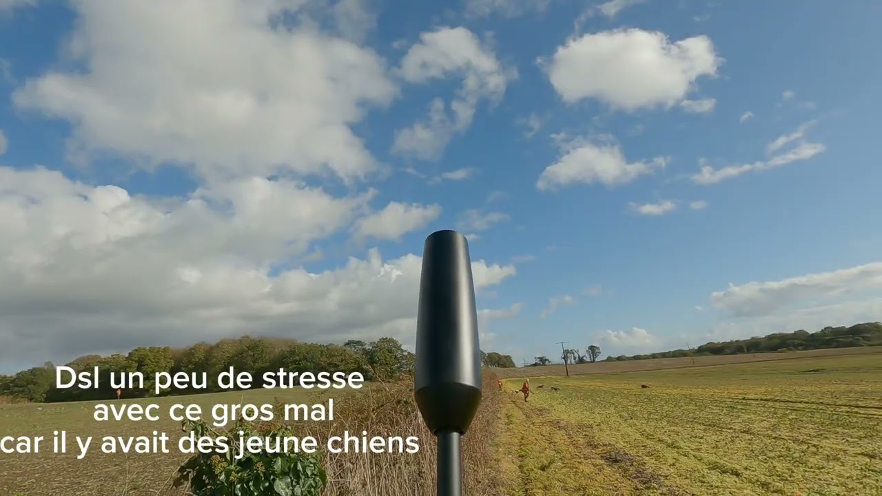 Je loupe ce sanglier à quelques cm, ma pire saison 