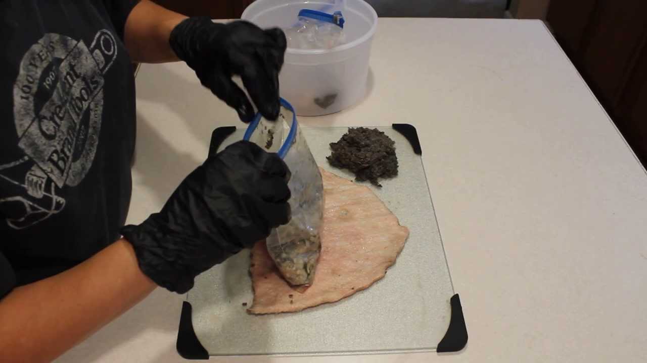 Dog Raw Prey Diet   Tripe  cow stomach   Blue Ridge Beef - Benefits of green tripe