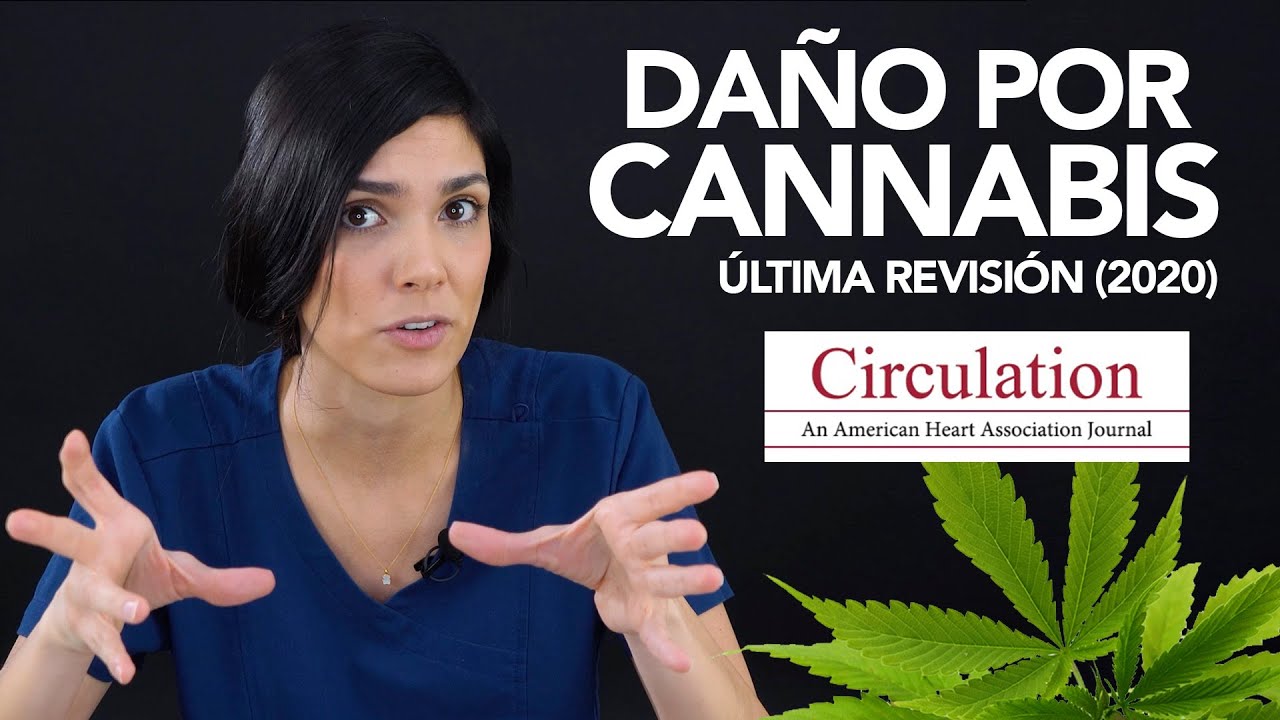 DA&Ntilde;O EN EL CORAZ&Oacute;N POR CANN4BIS | Dra. Jackie - Salud en Corto
