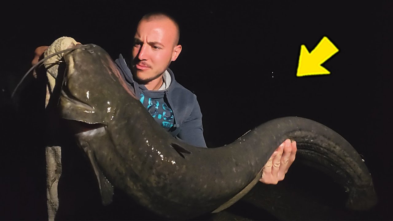Otkrio sam SKRIVENO mjesto za pecanje i upecao ovo..