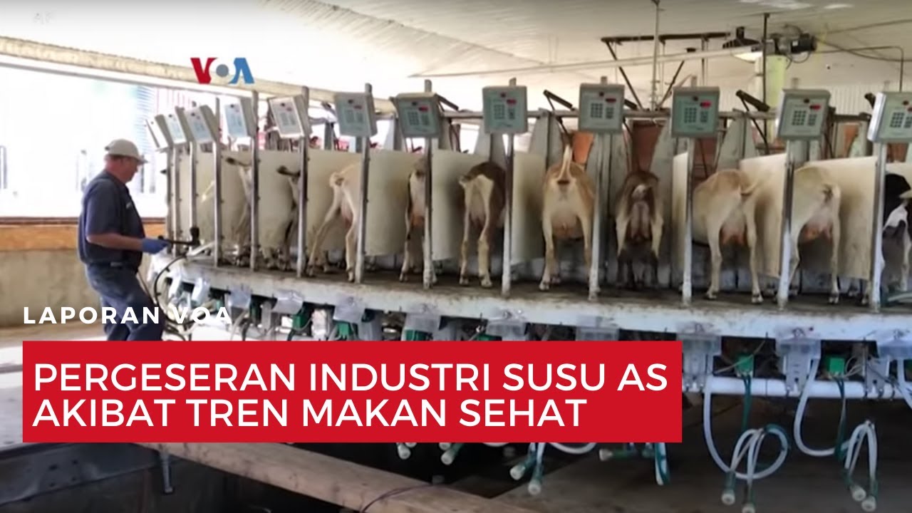 Pergeseran Industri Susu AS akibat Tren Makan Sehat