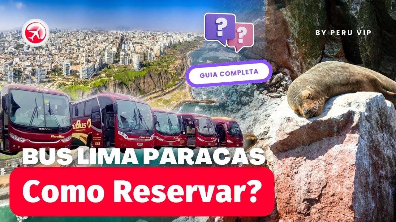 Bus Lima a Paracas: ¿CÓMO RESERVAR Y COMPRAR? 
